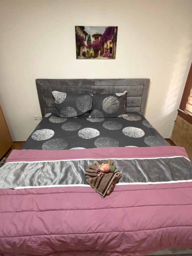 Aloha Apartment Novi Pazar Zewnętrze zdjęcie
